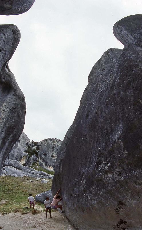 WT 0200 035-23 New Zealand.jpg